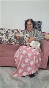 Annesi ve kardeşleri ölen kuzuyu evde biberonla besliyor haberi